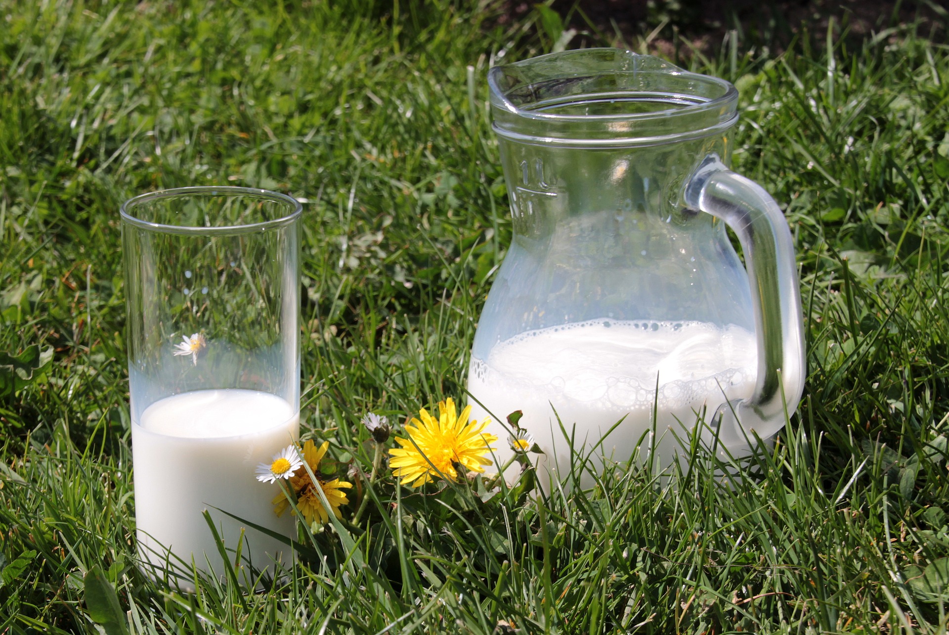 В Україні знизилися ціни на молоко
